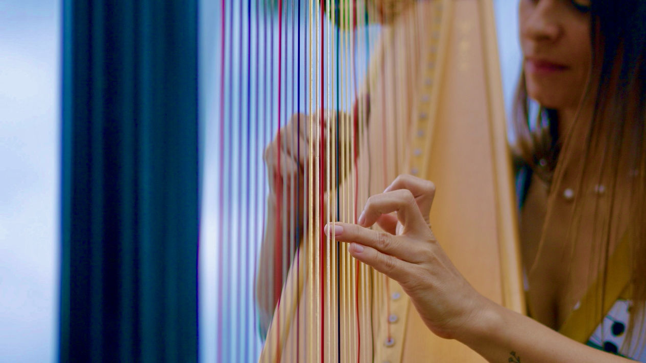 LIGHTTRAM Adverts_Ana's Harp_ROBERT WITTMANN
